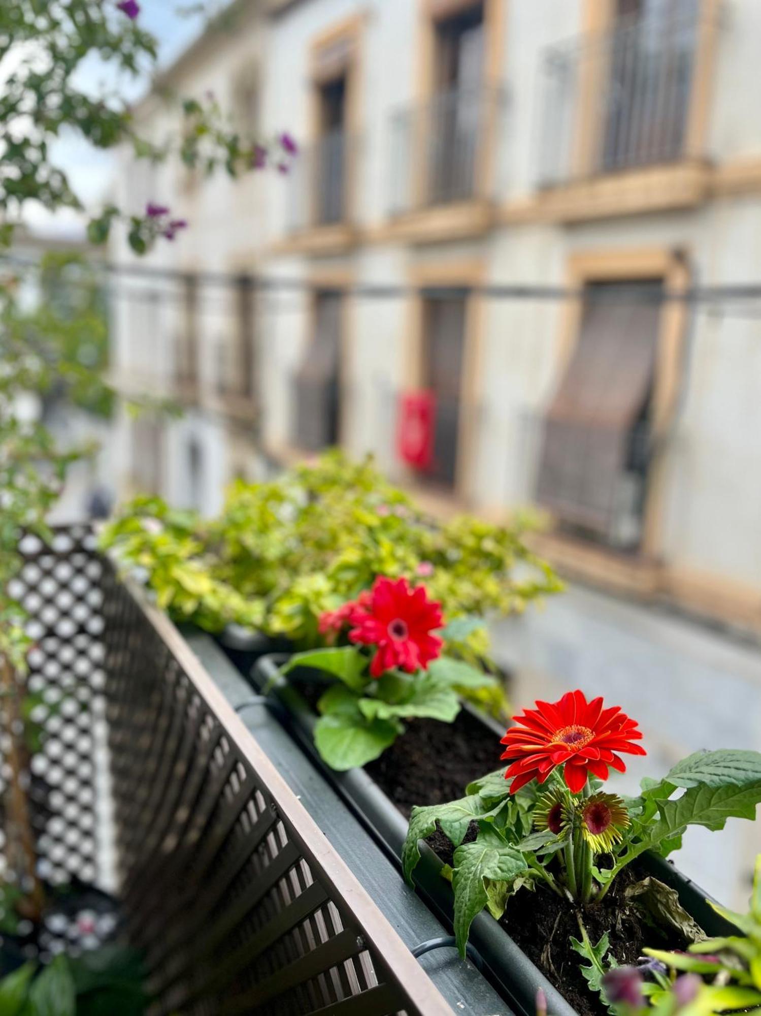 La Casa De Char Daire Cordoba Dış mekan fotoğraf